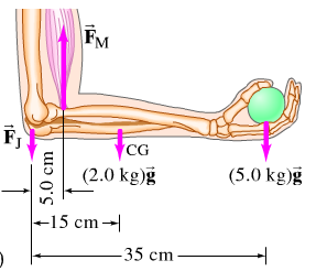 2324_The arm moves from various angle degrees.png